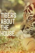 Watch Tigers About the House Zoechip
