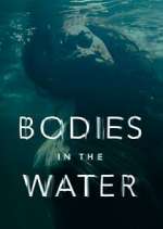 Watch Bodies in the Water Zoechip
