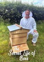 Watch The Secret Life of Bees Zoechip