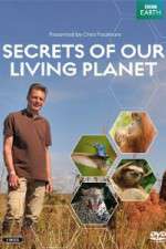 Watch Secrets of Our Living Planet Zoechip