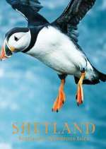 Watch Shetland: Scotland's Wondrous Isles Zoechip