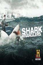 Watch Shark Wranglers Zoechip