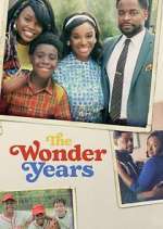 Watch The Wonder Years Zoechip