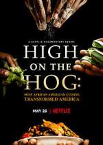 Watch High on the Hog: How African American Cuisine Transformed America Zoechip