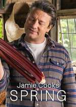 Watch Jamie Cooks Spring Zoechip