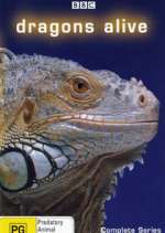 Watch Dragons Alive Zoechip