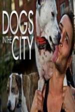 Watch Dogs in the City Zoechip