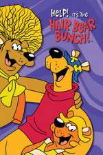 Watch Help!... It's the Hair Bear Bunch Zoechip