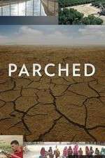 Watch Parched Zoechip