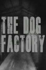 Watch The Dog Factory Zoechip