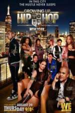 Watch Growing Up Hip Hop NY Zoechip
