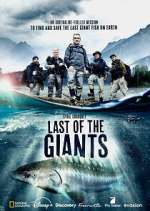Watch Last of the Giants: Wild Fish Zoechip