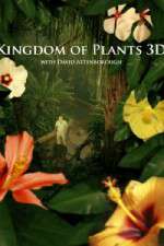 Watch Kingdom of Plants 3D Zoechip