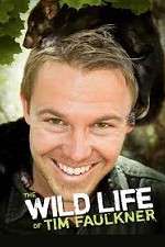 Watch The Wild Life of Tim Faulkner Zoechip
