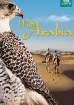 Watch Wild Arabia Zoechip