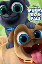 Watch Puppy Dog Pals Zoechip