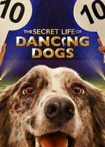 Watch The Secret Life of Dancing Dogs Zoechip