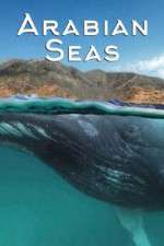 Watch Arabian Seas Zoechip