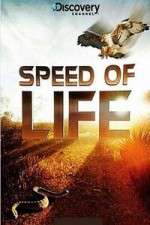Watch Discovery Channel Speed Of Life Zoechip