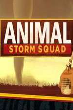 Watch Animal Storm Squad Zoechip