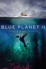 Watch Blue Planet II Zoechip