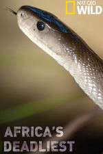 Watch Africas Deadliest Zoechip