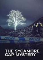 Watch The Sycamore Gap Tree Mystery Zoechip