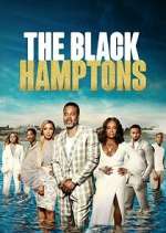 Watch Carl Weber's The Black Hamptons Zoechip