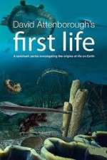 Watch David Attenborough's First Life Zoechip