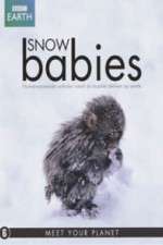 Watch Snow Babies Zoechip