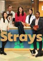 Watch Strays Zoechip