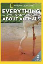 Watch Everything You Didnt Know About Animals Zoechip