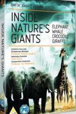 Watch Inside Nature's Giants Zoechip