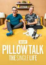 Watch 90 Day Pillow Talk: The Single Life Zoechip
