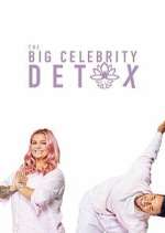 Watch The Big Celebrity Detox Zoechip
