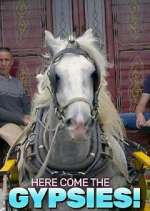 Watch Here Come the Gypsies! Zoechip