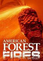 Watch American Forest Fires: The Untold Story Zoechip