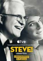 Watch STEVE! (martin) a documentary in 2 pieces Zoechip