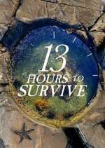 Watch 13 Hours to Survive Zoechip
