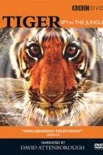 Watch Tiger: Spy in the Jungle Zoechip