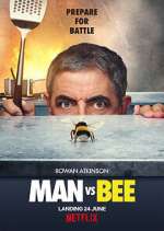 Watch Man Vs Bee Zoechip