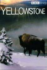 Watch Yellowstone Zoechip