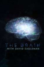 Watch The Brain with Dr David Eagleman Zoechip