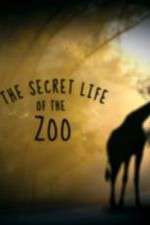 Watch The Secret Life of the Zoo Zoechip