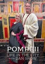 Watch Pompeii: Life in the City Zoechip