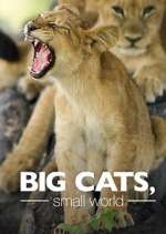 Watch Big Cats, Small World Zoechip