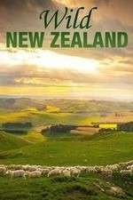 Watch Wild New Zealand Zoechip